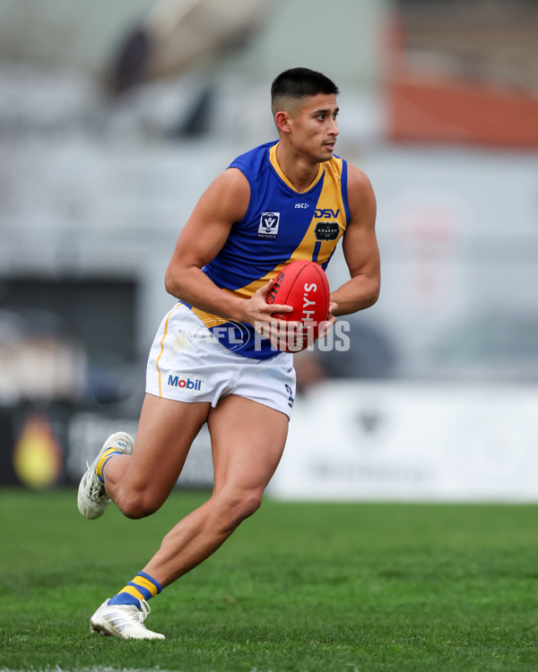 VFL 2025 Round 16 - Northern Bullants v Williamstown - A-60554000