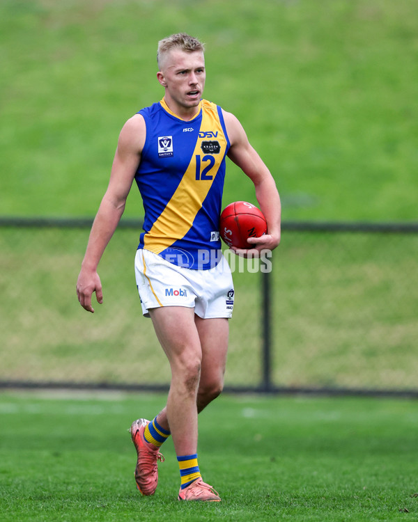 VFL 2025 Round 16 - Northern Bullants v Williamstown - A-60554015