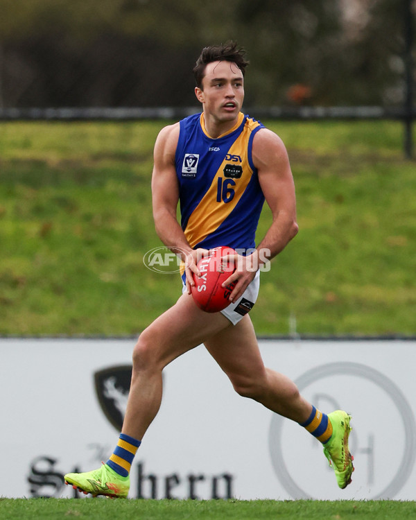 VFL 2025 Round 16 - Northern Bullants v Williamstown - A-60554016