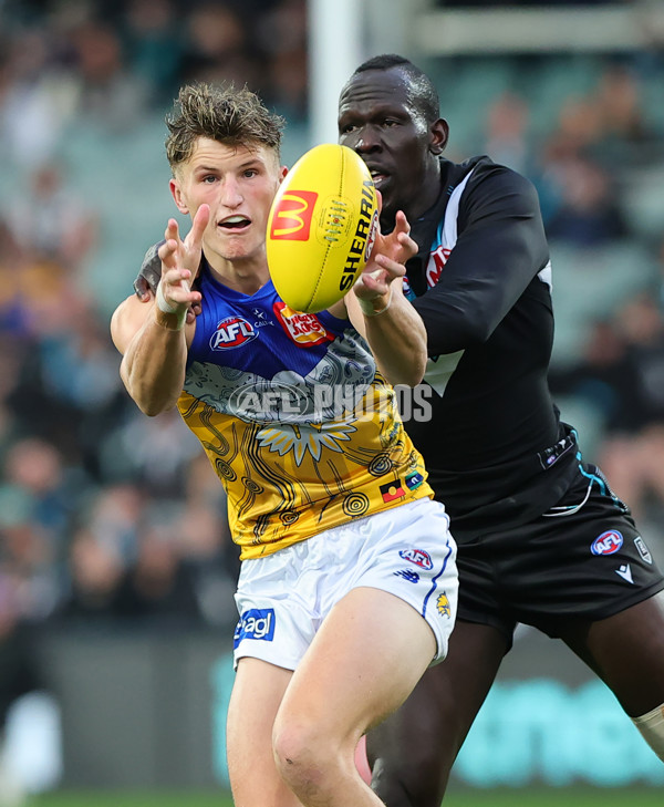 AFL 2025 Round 18 - Port Adelaide v West Coast - A-60555971