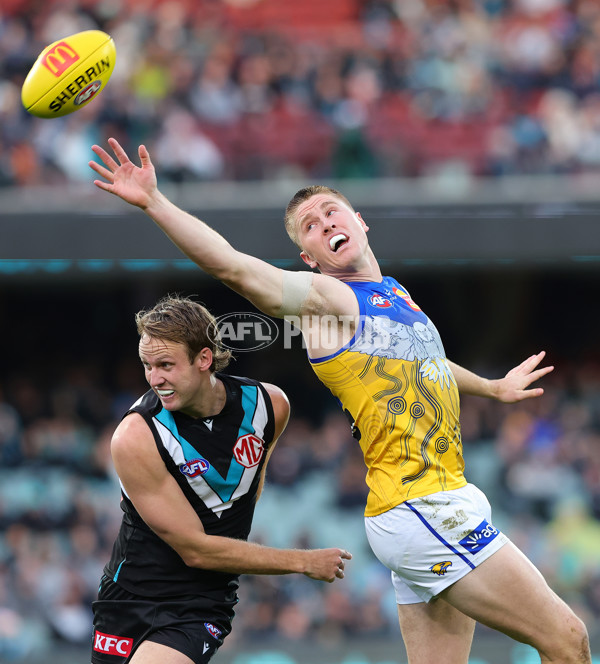 AFL 2025 Round 18 - Port Adelaide v West Coast - A-60555973