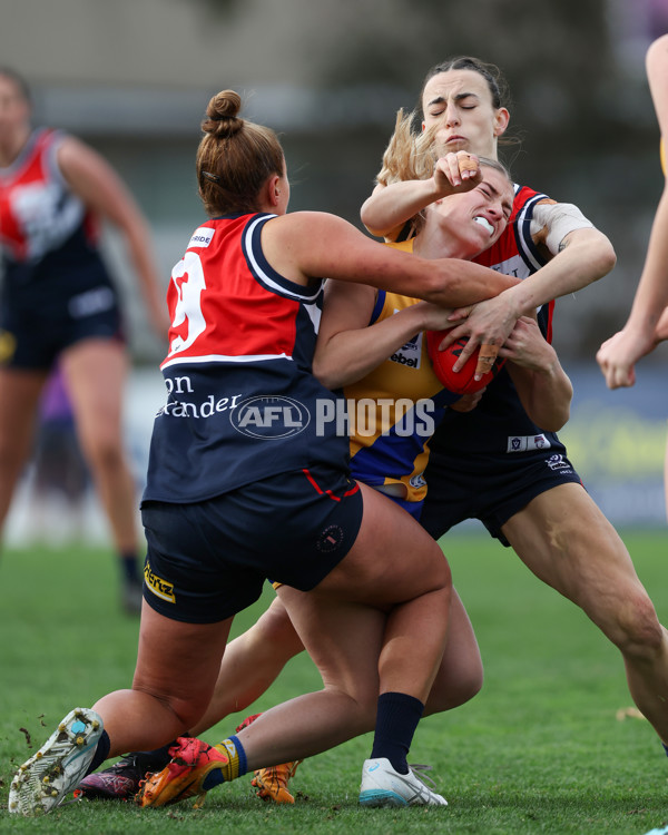 VFLW 2025 Round 12 - Darebin v Williamstown - A-60556046