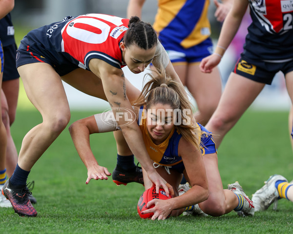VFLW 2025 Round 12 - Darebin v Williamstown - A-60556644