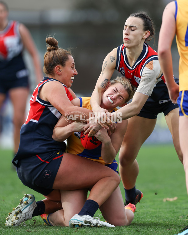 VFLW 2025 Round 12 - Darebin v Williamstown - A-60556647