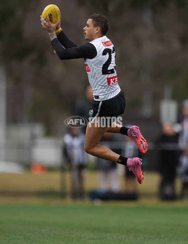 AFL 2025 Training - Collingwood 160725 - A-60592768
