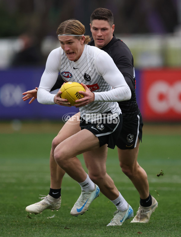 AFL 2025 Training - Collingwood 160725 - A-60592770