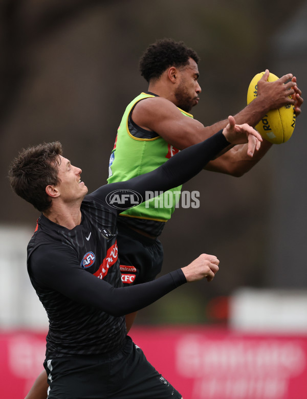 AFL 2025 Training - Collingwood 160725 - A-60593447