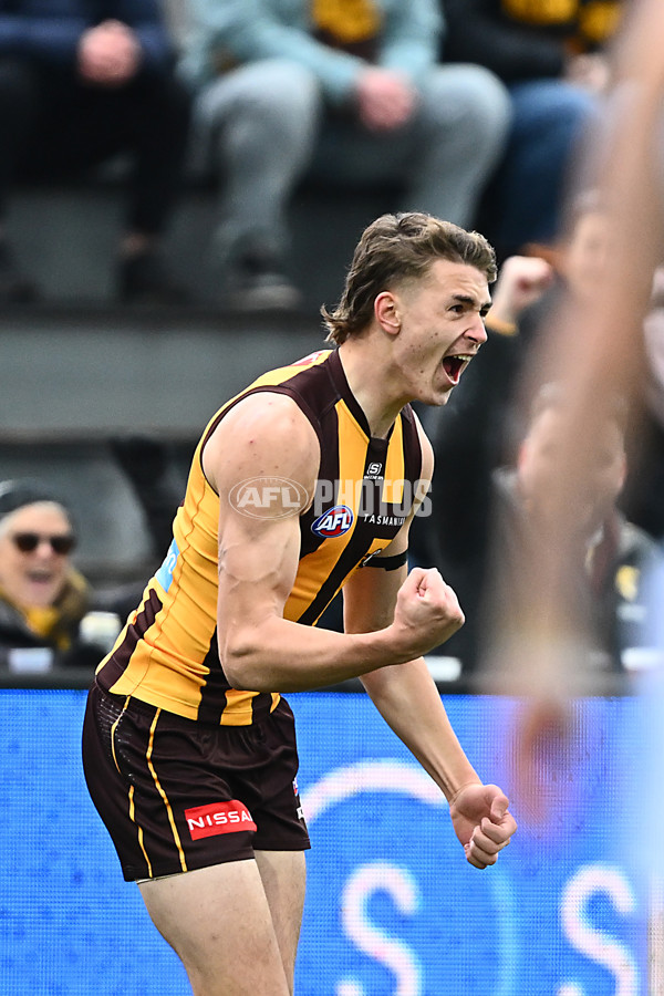 AFL 2025 Round 19 - Hawthorn v Port Adelaide - A-60612999