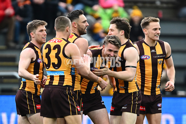 AFL 2025 Round 19 - Hawthorn v Port Adelaide - A-60613001