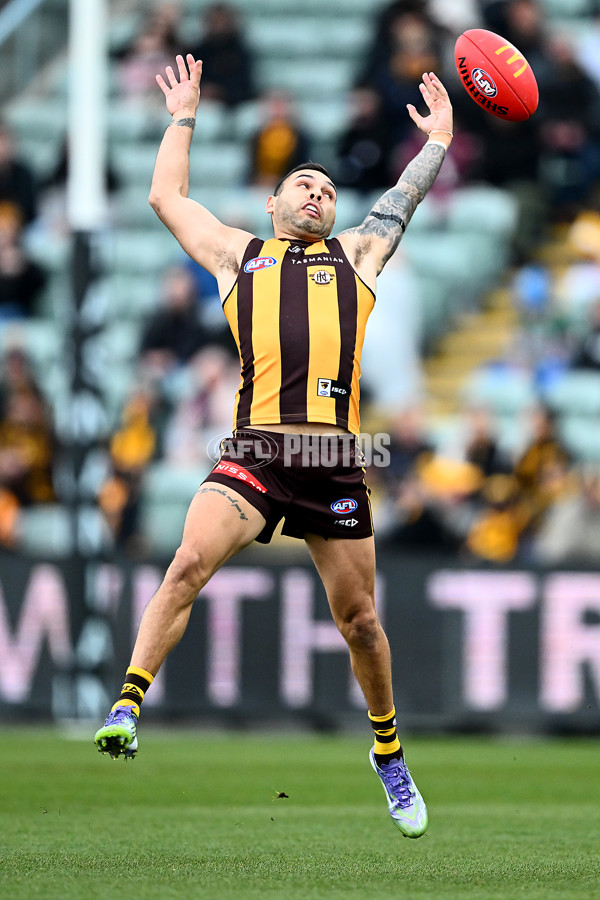 AFL 2025 Round 19 - Hawthorn v Port Adelaide - A-60613014