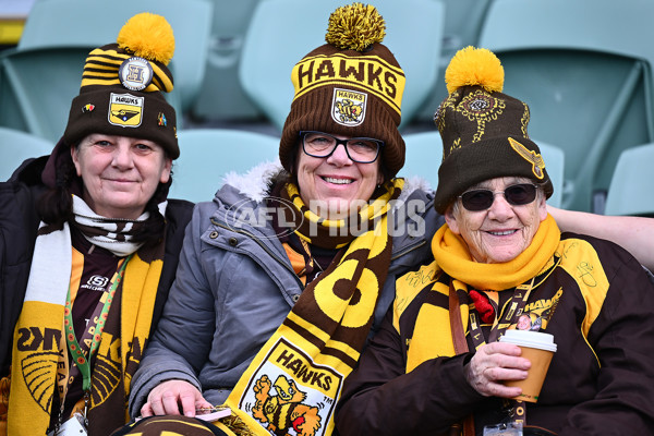 AFL 2025 Round 19 - Hawthorn v Port Adelaide - A-60613361