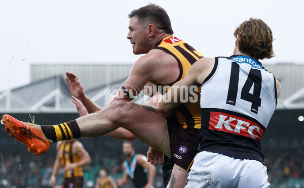 AFL 2025 Round 19 - Hawthorn v Port Adelaide - A-60613426