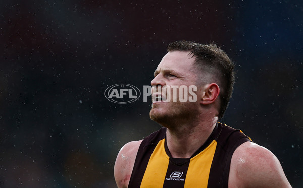 AFL 2025 Round 19 - Hawthorn v Port Adelaide - A-60613428