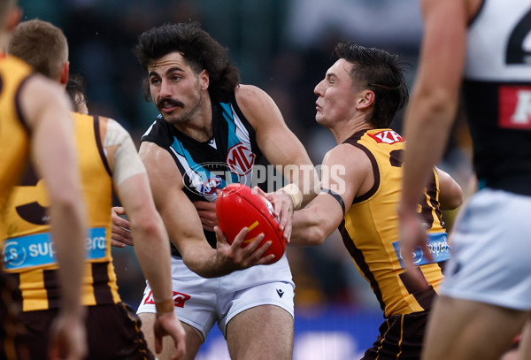 AFL 2025 Round 19 - Hawthorn v Port Adelaide - A-60613429
