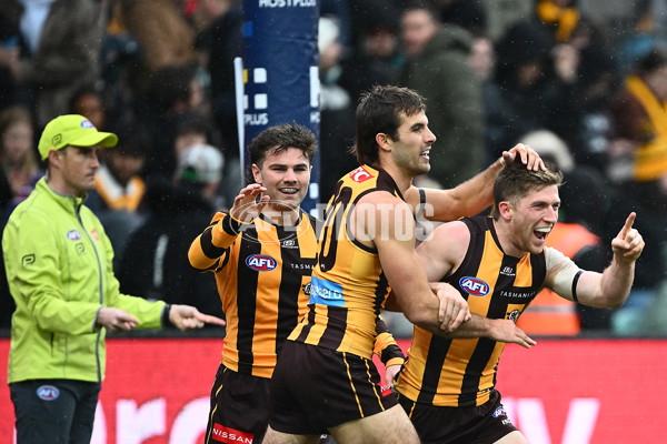 AFL 2025 Round 19 - Hawthorn v Port Adelaide - A-60615570