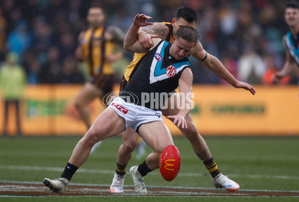 AFL 2025 Round 19 - Hawthorn v Port Adelaide - A-60615633