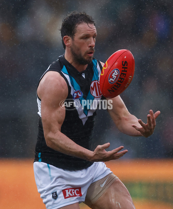 AFL 2025 Round 19 - Hawthorn v Port Adelaide - A-60615635