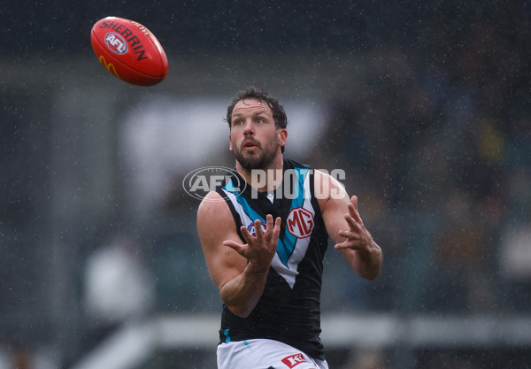 AFL 2025 Round 19 - Hawthorn v Port Adelaide - A-60615636