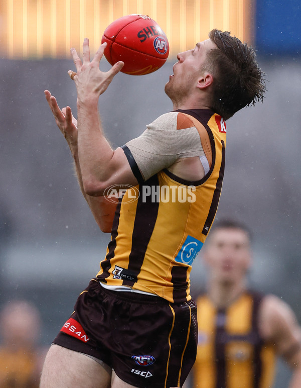 AFL 2025 Round 19 - Hawthorn v Port Adelaide - A-60615637