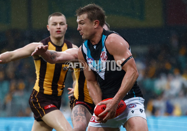 AFL 2025 Round 19 - Hawthorn v Port Adelaide - A-60616368