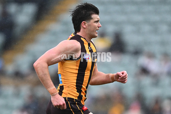 AFL 2025 Round 19 - Hawthorn v Port Adelaide - A-60616379