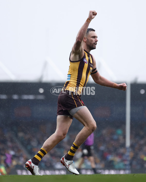 AFL 2025 Round 19 - Hawthorn v Port Adelaide - A-60616386