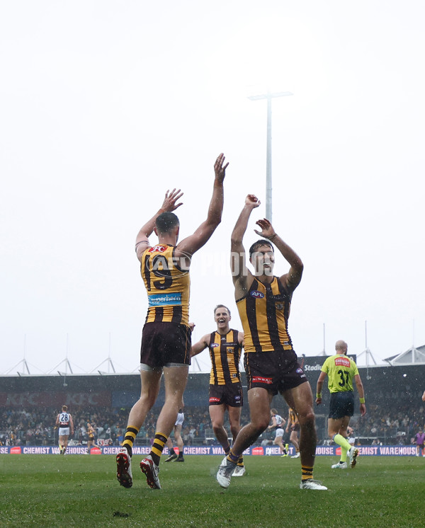 AFL 2025 Round 19 - Hawthorn v Port Adelaide - A-60616404