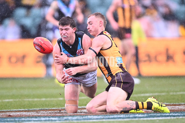 AFL 2025 Round 19 - Hawthorn v Port Adelaide - A-60616415