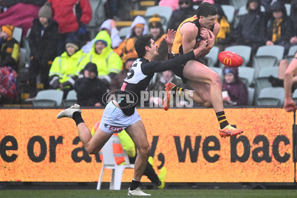 AFL 2025 Round 19 - Hawthorn v Port Adelaide - A-60616439