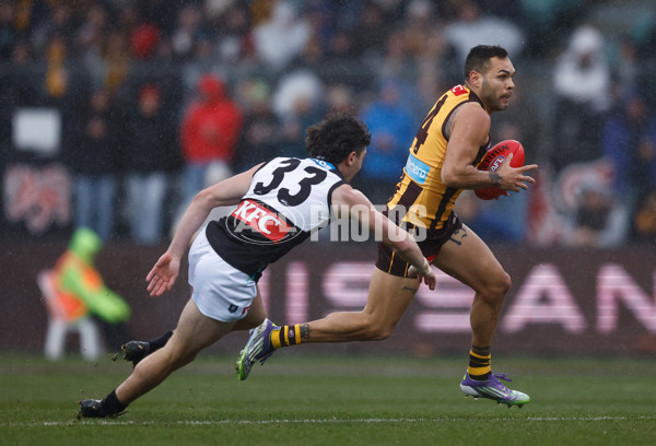AFL 2025 Round 19 - Hawthorn v Port Adelaide - A-60616441