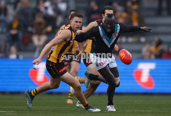 AFL 2025 Round 19 - Hawthorn v Port Adelaide - A-60616443