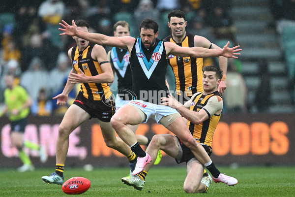 AFL 2025 Round 19 - Hawthorn v Port Adelaide - A-60616460