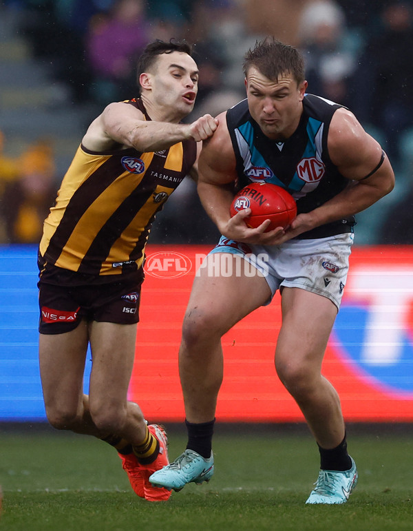 AFL 2025 Round 19 - Hawthorn v Port Adelaide - A-60618079