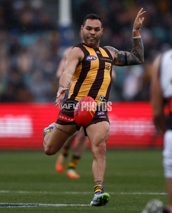 AFL 2025 Round 19 - Hawthorn v Port Adelaide - A-60618081