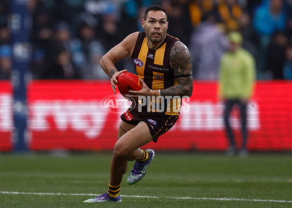 AFL 2025 Round 19 - Hawthorn v Port Adelaide - A-60618090