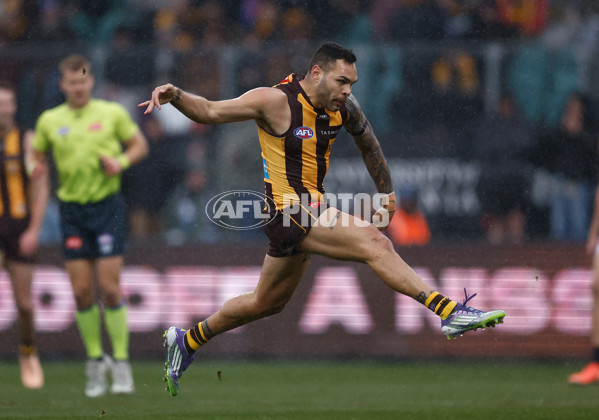 AFL 2025 Round 19 - Hawthorn v Port Adelaide - A-60618094