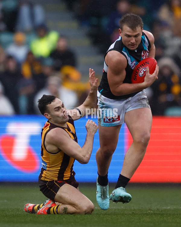 AFL 2025 Round 19 - Hawthorn v Port Adelaide - A-60618095