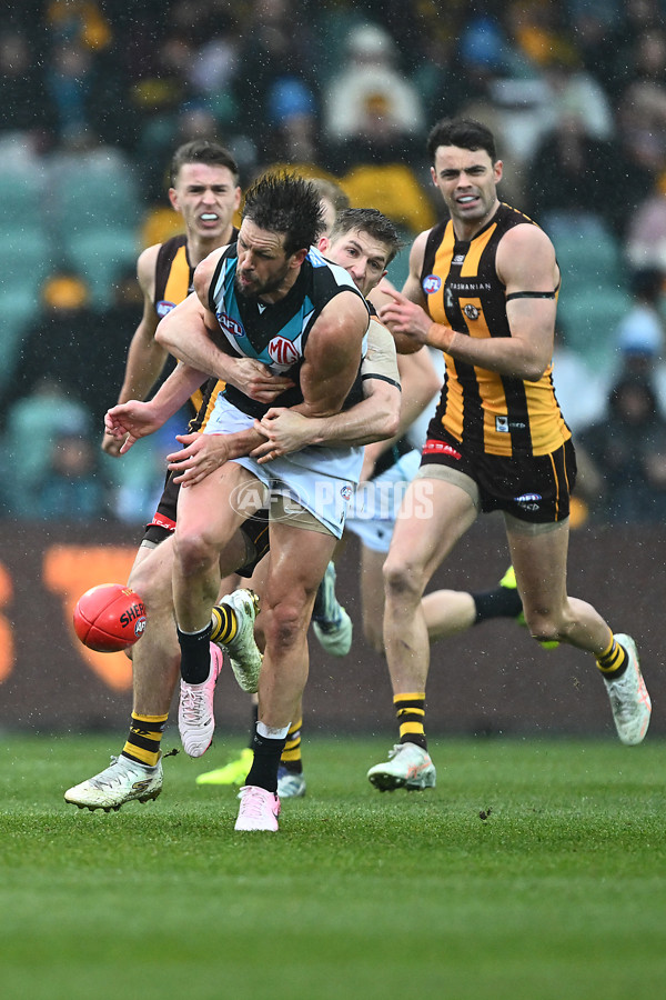 AFL 2025 Round 19 - Hawthorn v Port Adelaide - A-60618108