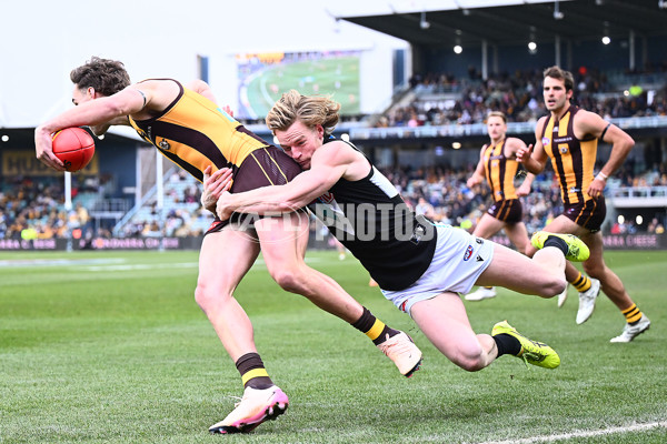 AFL 2025 Round 19 - Hawthorn v Port Adelaide - A-60618113