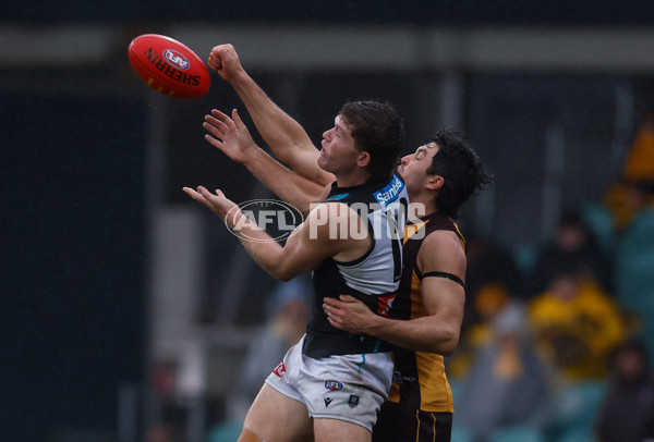 AFL 2025 Round 19 - Hawthorn v Port Adelaide - A-60618122