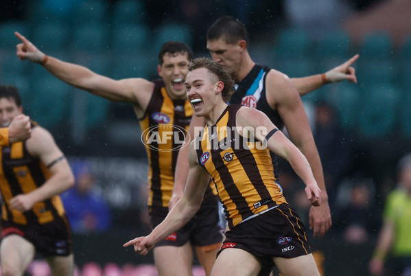AFL 2025 Round 19 - Hawthorn v Port Adelaide - A-60618171