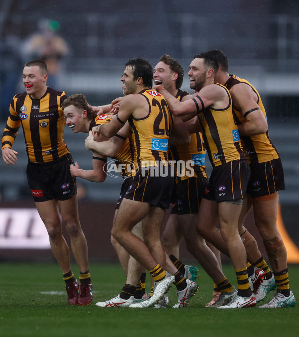 AFL 2025 Round 19 - Hawthorn v Port Adelaide - A-60618179