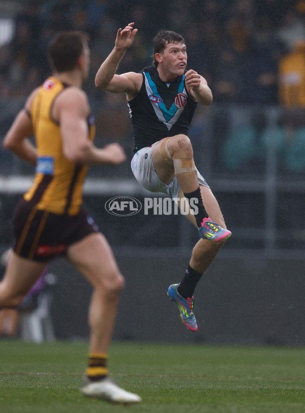 AFL 2025 Round 19 - Hawthorn v Port Adelaide - A-60618898