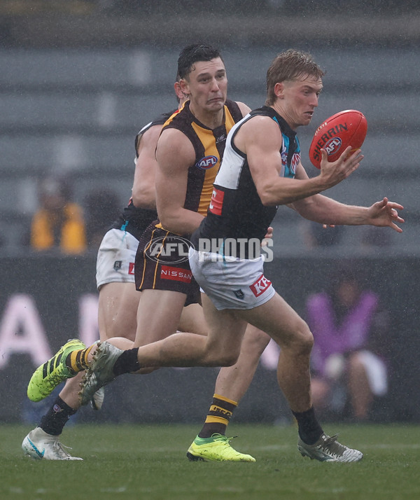 AFL 2025 Round 19 - Hawthorn v Port Adelaide - A-60618929