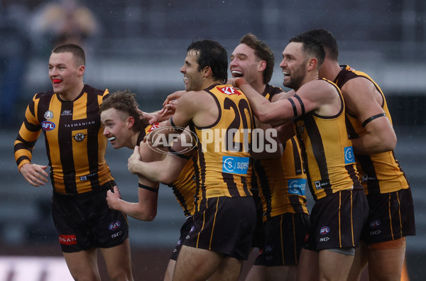 AFL 2025 Round 19 - Hawthorn v Port Adelaide - A-60618960
