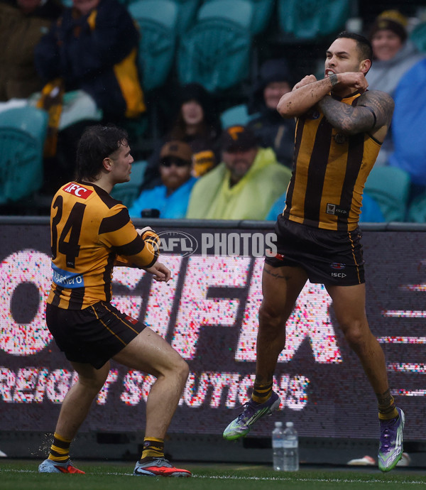 AFL 2025 Round 19 - Hawthorn v Port Adelaide - A-60618968