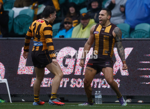 AFL 2025 Round 19 - Hawthorn v Port Adelaide - A-60620913
