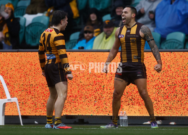 AFL 2025 Round 19 - Hawthorn v Port Adelaide - A-60620914