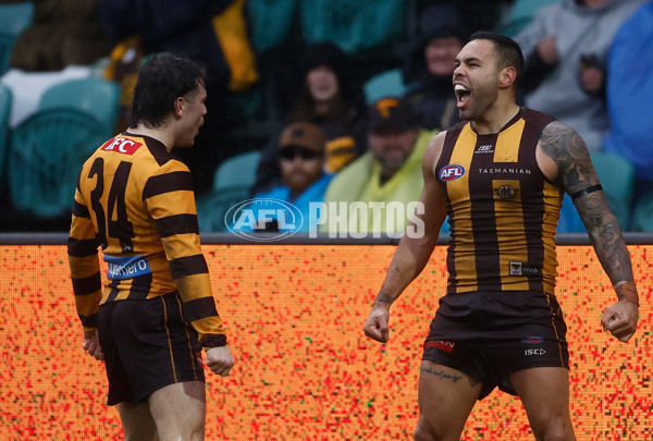 AFL 2025 Round 19 - Hawthorn v Port Adelaide - A-60620916