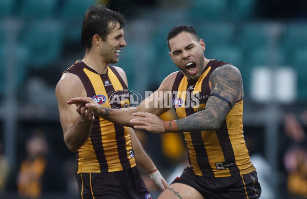 AFL 2025 Round 19 - Hawthorn v Port Adelaide - A-60620923